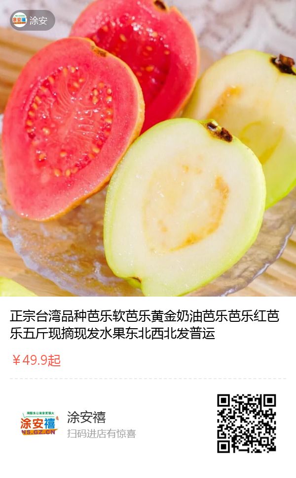 南沙团 涂安禧 正宗台湾品种芭乐软芭乐黄金奶油芭乐芭乐红芭乐五斤现摘现发水果东北西北发普运